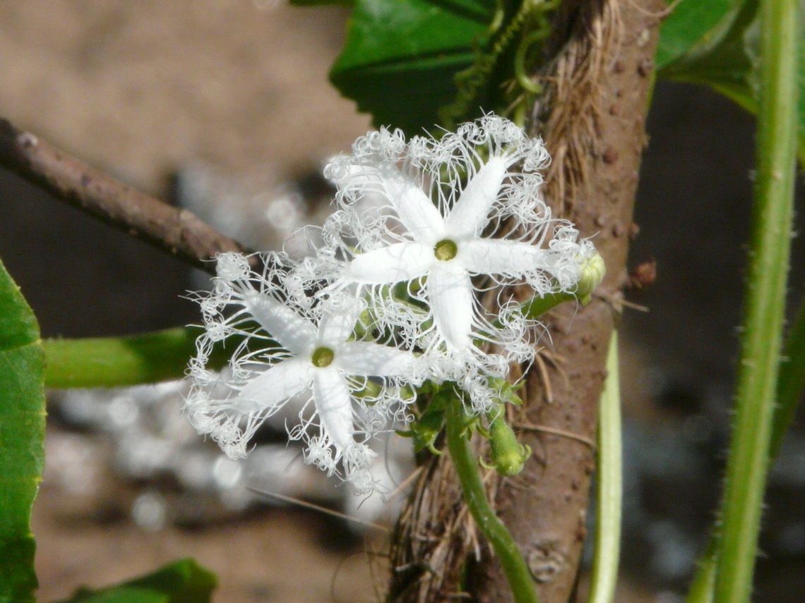 p1080048